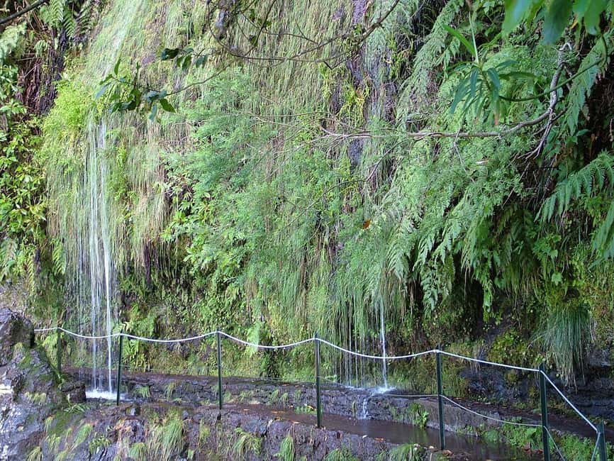 Caldeirão Verde: Queimadas PR9 Transfer and Self-Guided Hike - Timing, crowds, and the 5.5-hour schedule