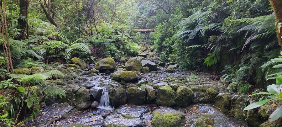 Caldeirão Verde: Queimadas PR9 Transfer and Self-Guided Hike - What the $38 price really covers