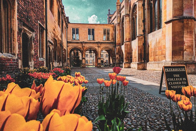 Cambridge's History & Secrets with Self-Guided Walking Tours - What $34.28 gets you