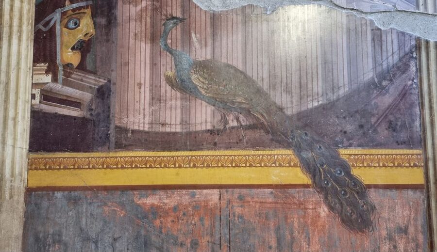 Campania: Pompei+Herculaneum+Vesuvius audio guide - MANN: make sense of the Farnese and Egypt collections