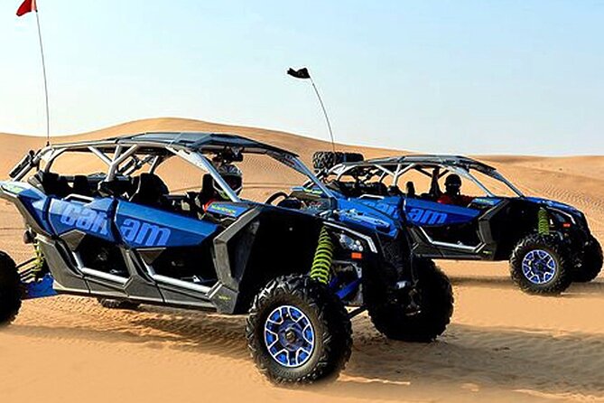 CAN AM 04 Seater Self Drive with Camel Riding and Sand Skiing - Camel riding adds a slower side to the trip