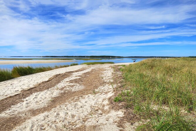 Cape Cod Self-Guided Driving Audio Tour - Wellfleet Bay and the Cape’s natural side