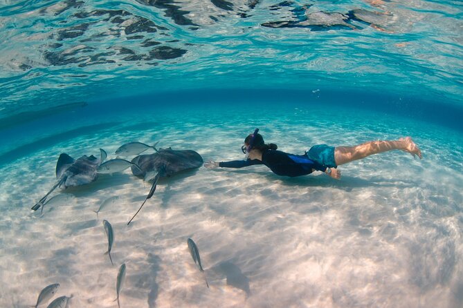 CaymanVisitor Hide & Seek GeoTour Self-Drive Tour - Starting in George Town with the GeoTour passport
