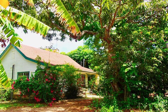 CaymanVisitor Hide & Seek GeoTour Self-Drive Tour - Independent driving requires a realistic plan