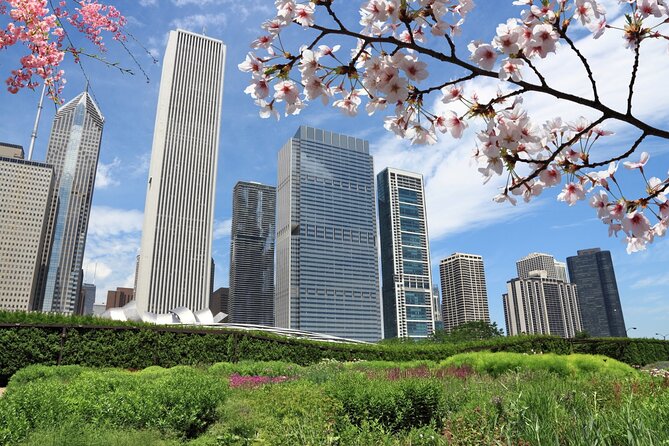 Chicago Millennium Park Self-Guided Walking Tour - Pritzker Pavilion and the beginning of the route