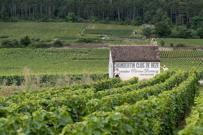 Citroën 2CV Bourgogne rental • Self-guided getaway - Châteauneuf and the appeal of a slower day