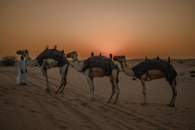 Combo:Deluxe Desert Safari with dinner + ATV self-drive/Quad Bike - Dune bashing and a quick sandboarding stop