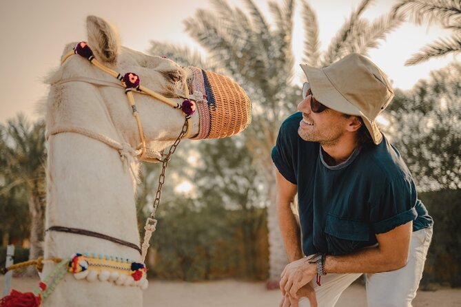 Combo:Deluxe Desert Safari with dinner + ATV self-drive/Quad Bike - Who should choose this desert safari