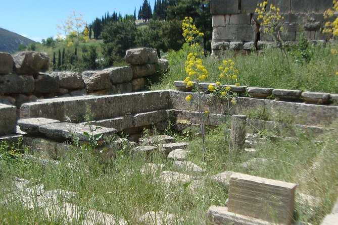Delphi Self-guided Audio Tour on Your Phone (no ticket) - Who should choose this format?