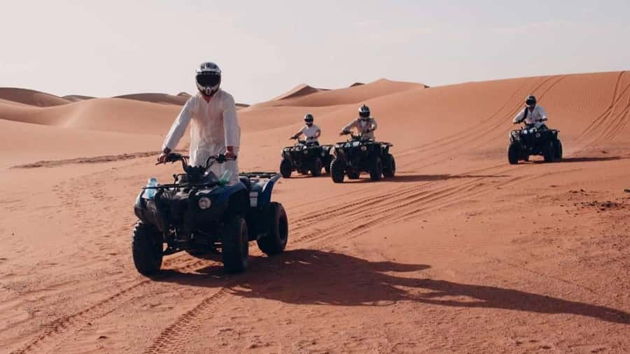 Desert Safari Self-Drive Quad Bike OR Dune Buggy Experience - Sealine Beach Resort: camels, falcons, and a pause