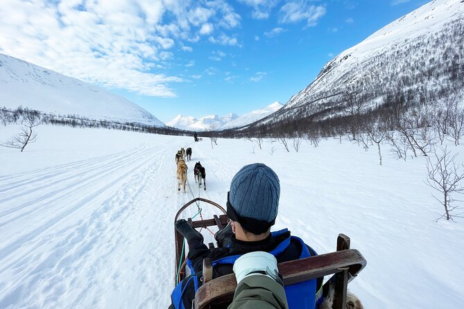 Dog Sledding: A Self-Drive Arctic Experience from Tromsø - Key points to know before you book