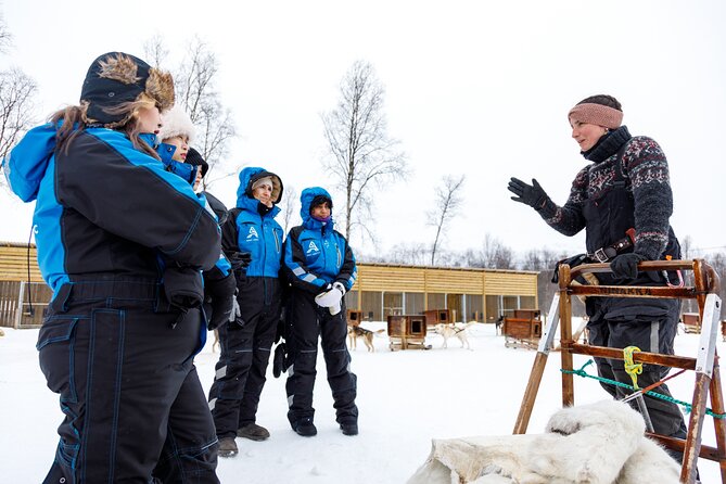 Dog Sledding: A Self-Drive Arctic Experience from Tromsø - Meeting in Tromsø and riding to Breivikeidet