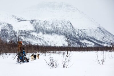 Dog Sledding: A Self-Drive Arctic Experience from Tromsø
