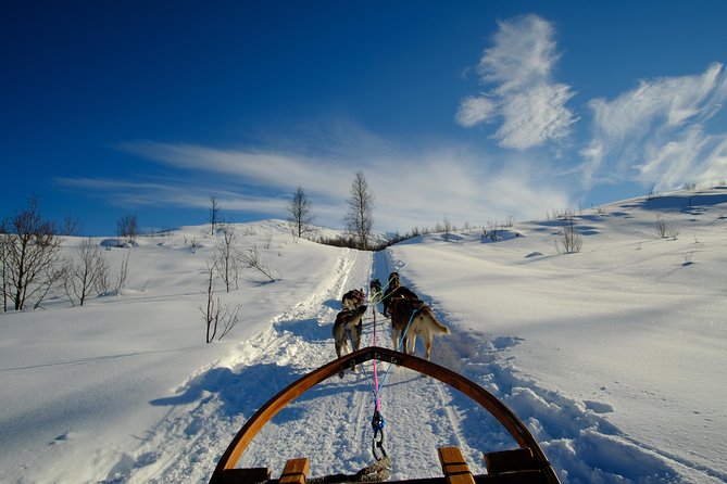Dog Sledding: A Self-Drive Arctic Experience from Tromsø - Warming up in the lavvo