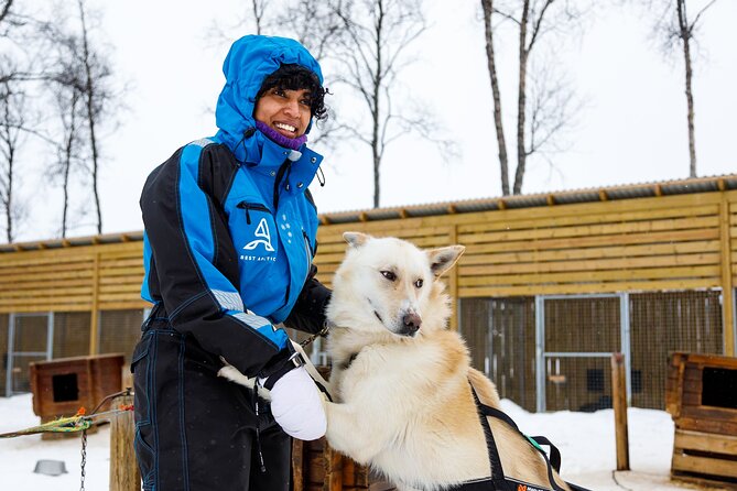 Dog Sledding: A Self-Drive Arctic Experience from Tromsø - How much value do you get for $321.84?