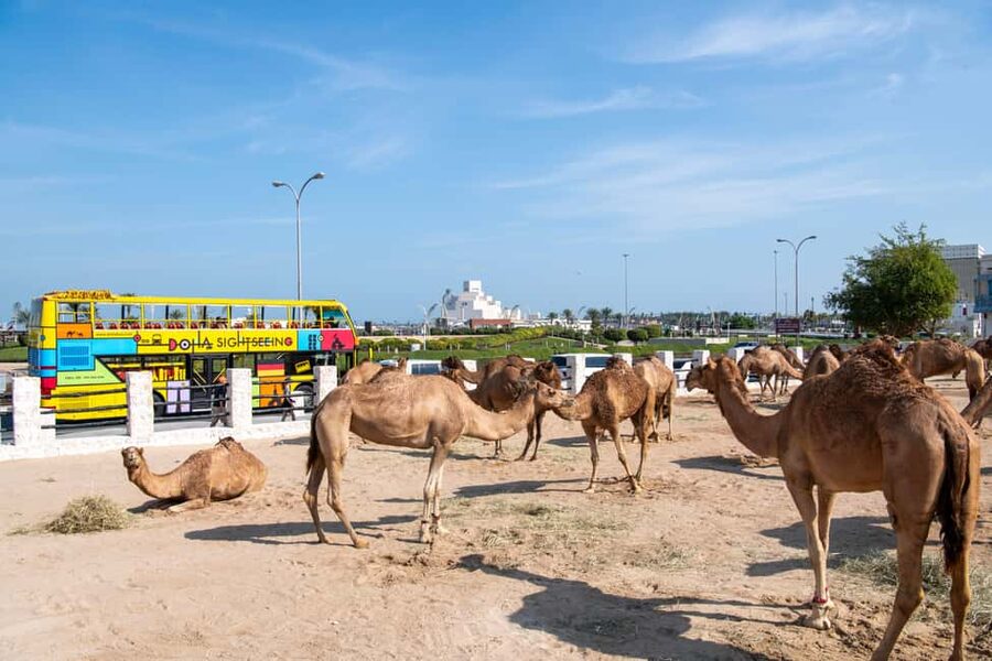 Doha: 24-Hour Hop-On Hop-Off Bus Ticket with Audio Guide - Souq Waqif brings the old Doha atmosphere