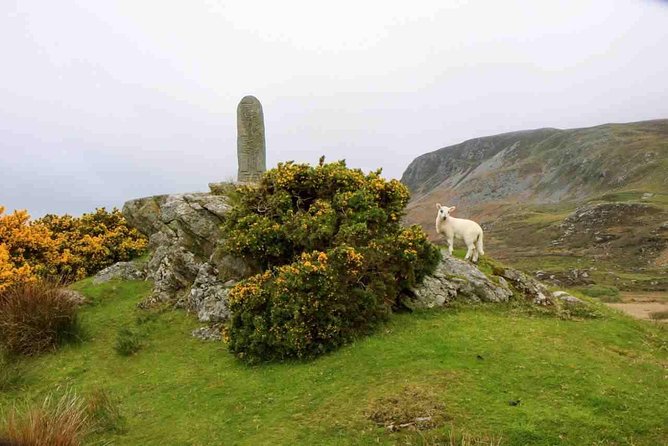 Donegal Coast One Day Self-Guided E-Bike Tour - Cloghanmore Megalithic Tomb and 5,000 years of history