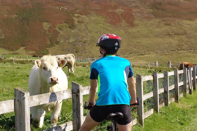 Donegal Coast One Day Self-Guided E-Bike Tour - Slieve League, the day’s great reward
