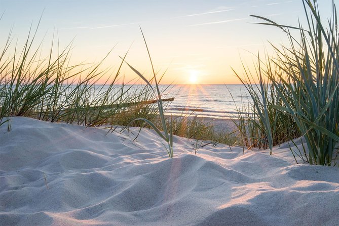 Drive it yourself electric Dune and Beach GPS audio tour - Coffee at Vrijstaat Nederzandt