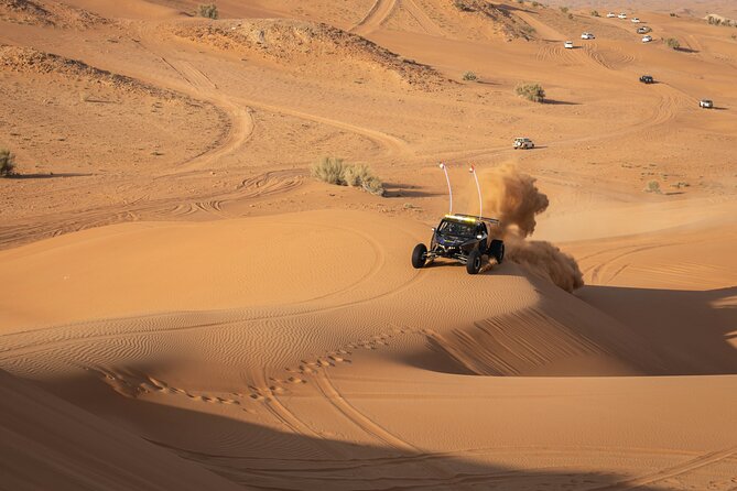 Dubai Long Self-Drive Quadbike with Camel and Falcon - Who will enjoy this four-hour desert trip?