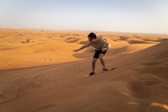 Dubai Long Self-Drive Quadbike with Camel and Falcon - Camel ride and falcon photo