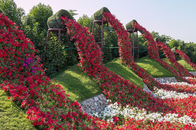 Dubai Miracle Garden Self-Guided Tour with Ticket with Transfer - Three and a half hours inside: enough time?