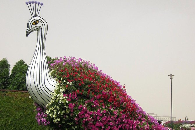 Dubai Miracle Garden Self-Guided Tour with Ticket with Transfer - Is the $80 price fair?