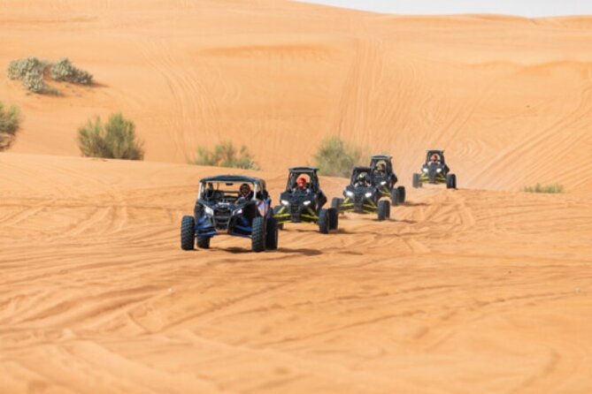 Dubai: Self-Drive Adventure with 2000cc Dune Buggy - Is $410 a fair price?