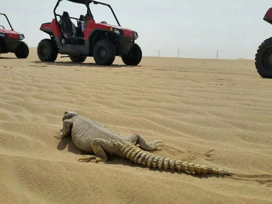Dubai: Self-Drive Dune Buggy Safari with Pickup and Drop-Off - What the One-Hour Ride Really Includes