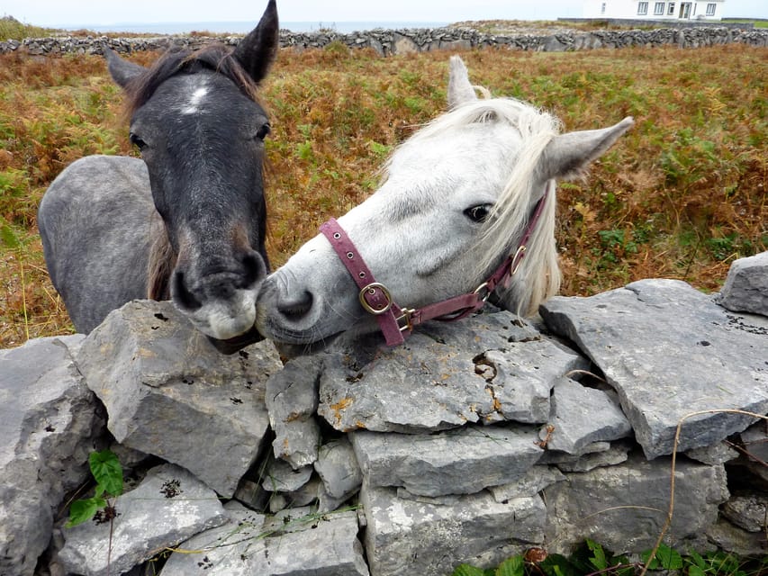 Ebiking on Inishmore island. Aran islands. Self-guided - Should you book the Inishmore ebike experience?
