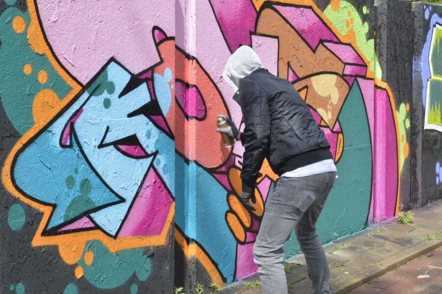 Eindhoven: Self-Guided Individual Street Art Tour - Following murals, graffiti, and changing works