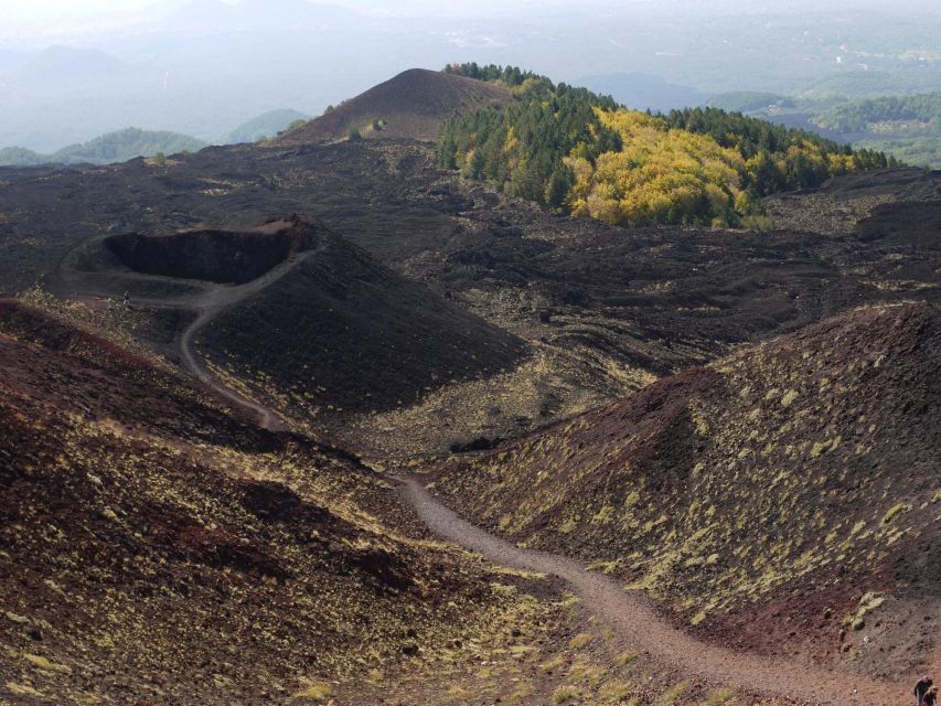 Etna by Panoramic Bus, Audioguide 9 languages, from Catania - What the bus and audio guide are really like