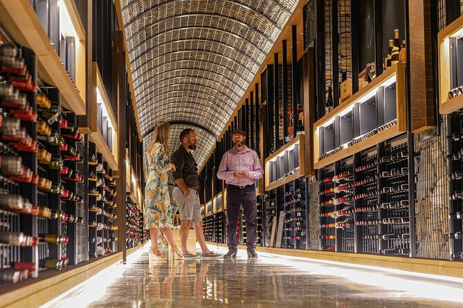 Explore Amazing Adelaide: Self-Guided Audio Tour - Light’s Vision rewards you with a view and a founding story