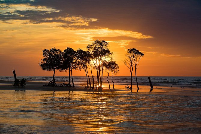 Explore Delightful Darwin: Self-Guided Audio Tour - Key points to know before you go