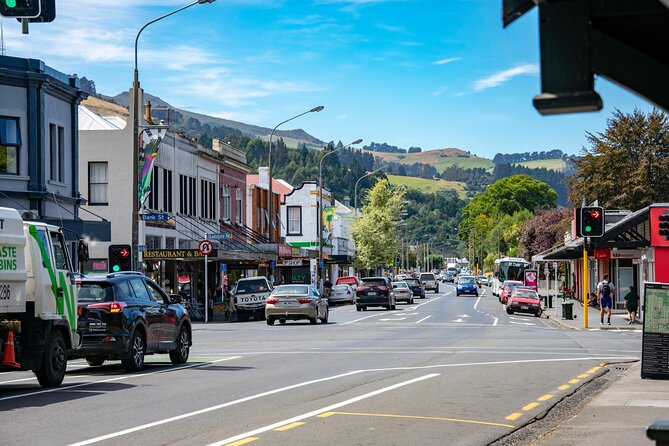 Explore Dunedin: Self-Guided Audio Tour Adventure - Key points to know before walking