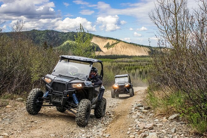 Explore the Denali Wilderness: Self Guided ATV Rental in Alaska! - Key points to know before booking