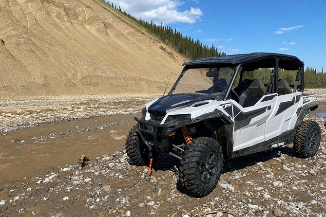 Explore the Denali Wilderness: Self Guided ATV Rental in Alaska! - Who will enjoy this most