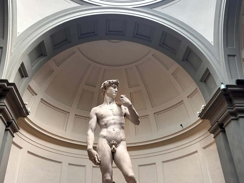 Florence:Accademia + David Entrance Ticket +Agudio Guide APP - Timing, bags, and accessibility