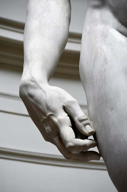 Florence Accademia: David of Michelangelo & Audio Guide - One Hour in the Gallery