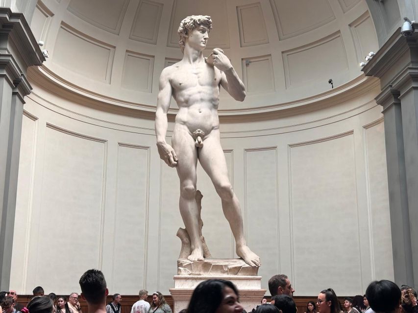 Florence: David's Accademia timed Ticket with Audio APP - Painting galleries from the medieval period to the Renaissance