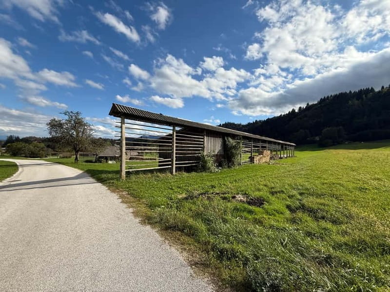 From Bled: Self Guided E-Bike Trip to Triglav National Park - Alpine villages, farms, and traditional buildings