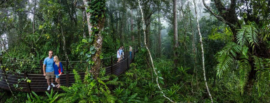 From Cairns: Self-Guided Kuranda Trip with Train and Skyrail - Should you book the Kuranda train and Skyrail trip?