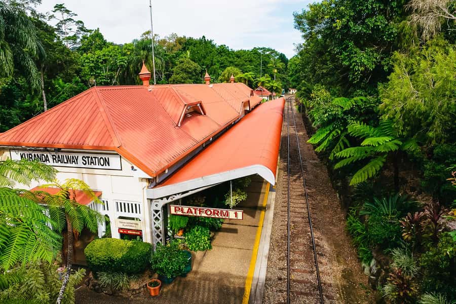 From Cairns: Self-Guided Kuranda Trip with Train and Skyrail - Wildlife, heat, and what to pack