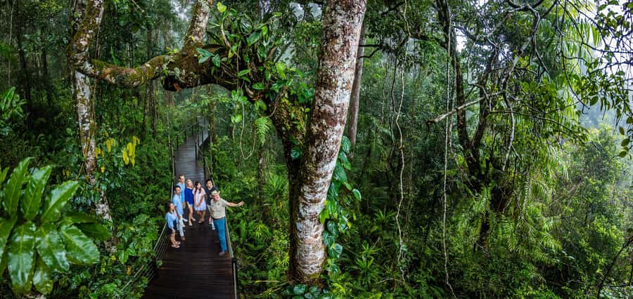 From Cairns: Self-Guided Kuranda Trip with Train and Skyrail - Who will get the most from this trip?