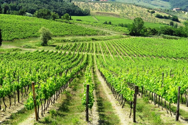 From Florence: Chianti Self-Guided Vespa Tour with Lunch - Greve in Chianti for the main stop and lunch
