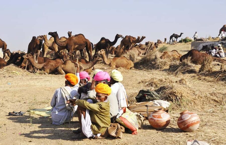 From Jaipur: Same Day Pushkar Self-Guided Day Trip - What to wear, carry, and expect on foot