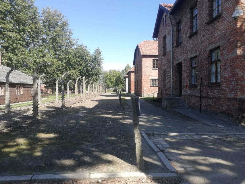 From Krakow: Auschwitz-Birkenau and Self-Guided Day Tour - How the brochure and host work together