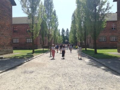 From Krakow: Auschwitz-Birkenau and Self-Guided Day Tour