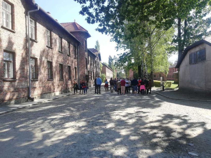 From Krakow: Auschwitz-Birkenau and Self-Guided Day Tour - Timing, queues, and the meaning of skip the ticket line