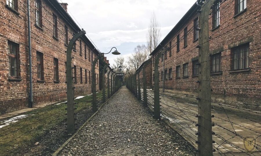 From Krakow: Auschwitz Birkenau Self-Guided Tour - Why this Auschwitz format works for some visitors